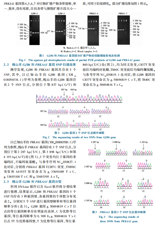 1719294319506.png image.png