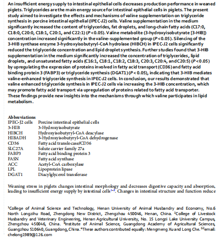 1719303959681.png image.png