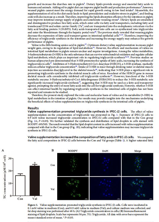 1719303978106.png image.png