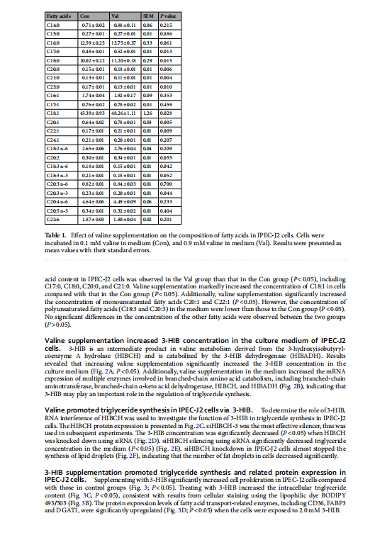 1719303997090.png image.png