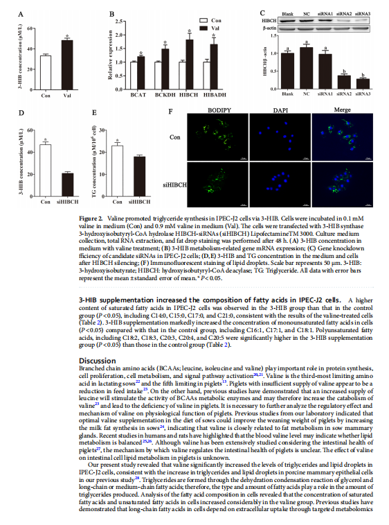 1719304015655.png image.png