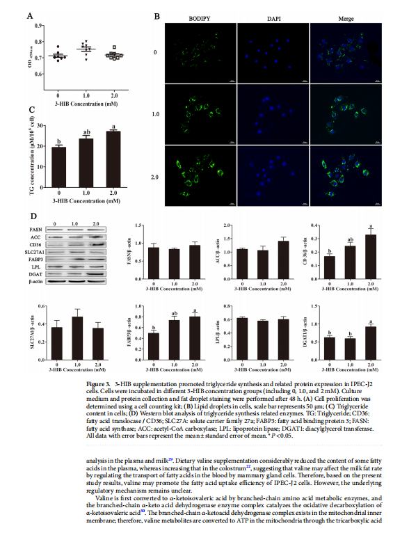 1719304036388.png image.png