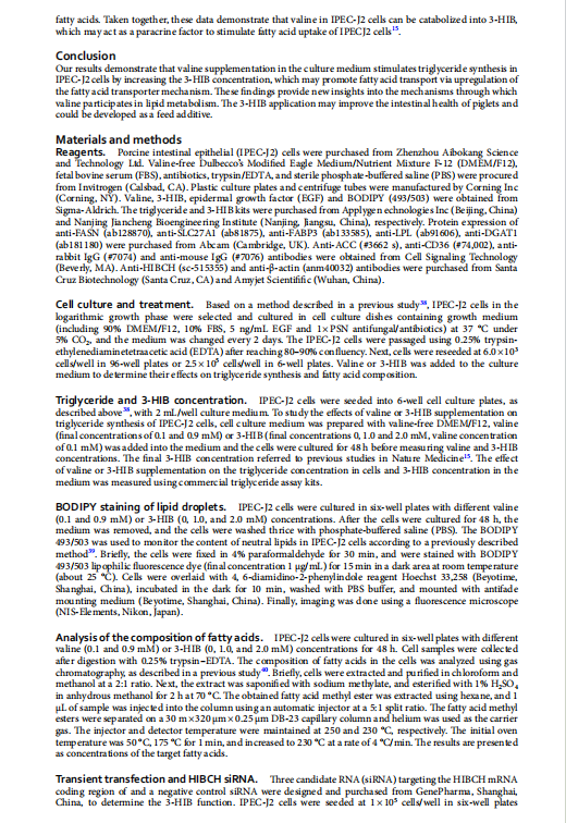 1719304079216.png image.png