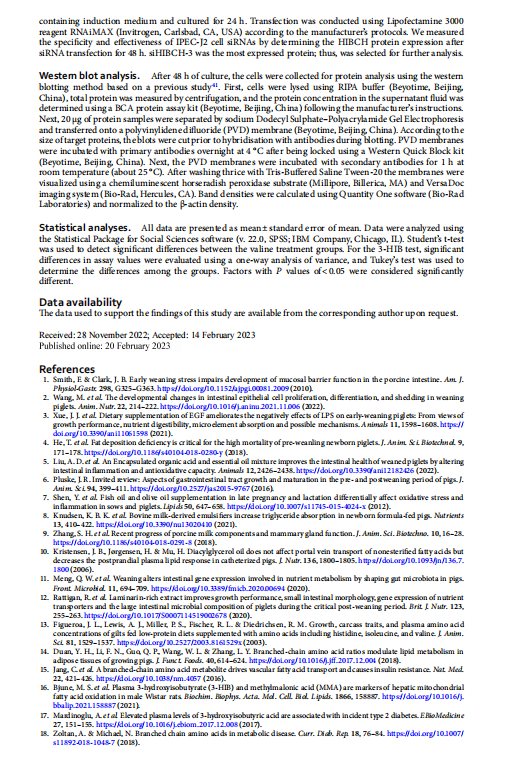 1719304105424.png image.png