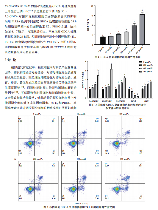 1719306749558.png image.png