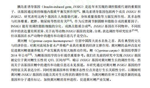 1719307148777.png image.png