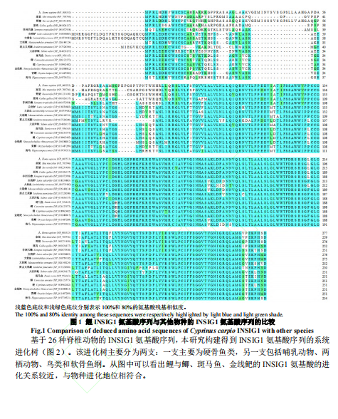 1719307198379.png image.png