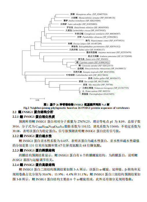 1719307217497.png image.png