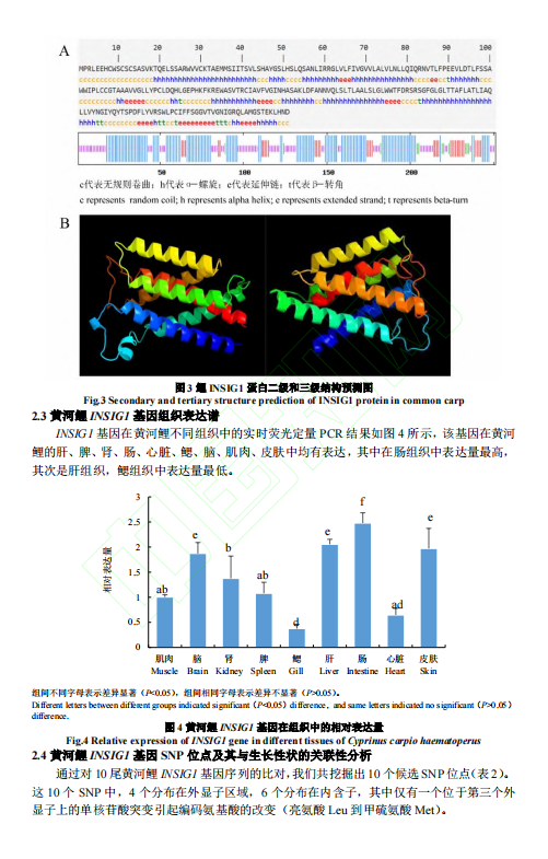 1719307237586.png image.png