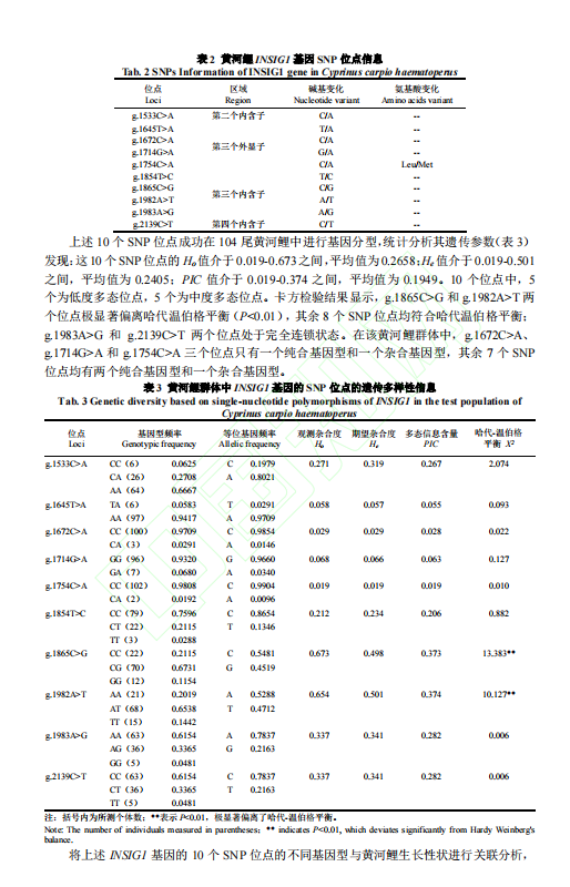 1719307256120.png image.png