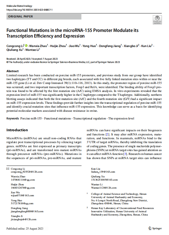 1719310711736.png image.png