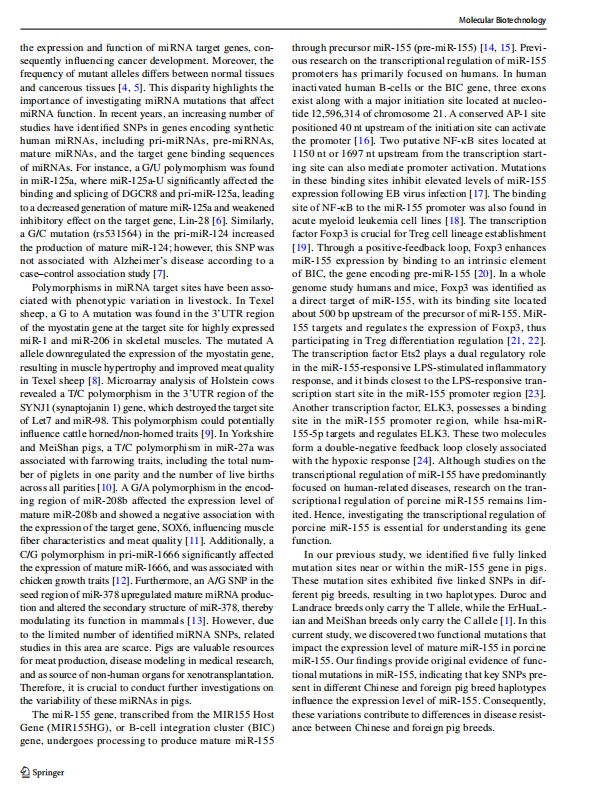 1719310720528.png image.png