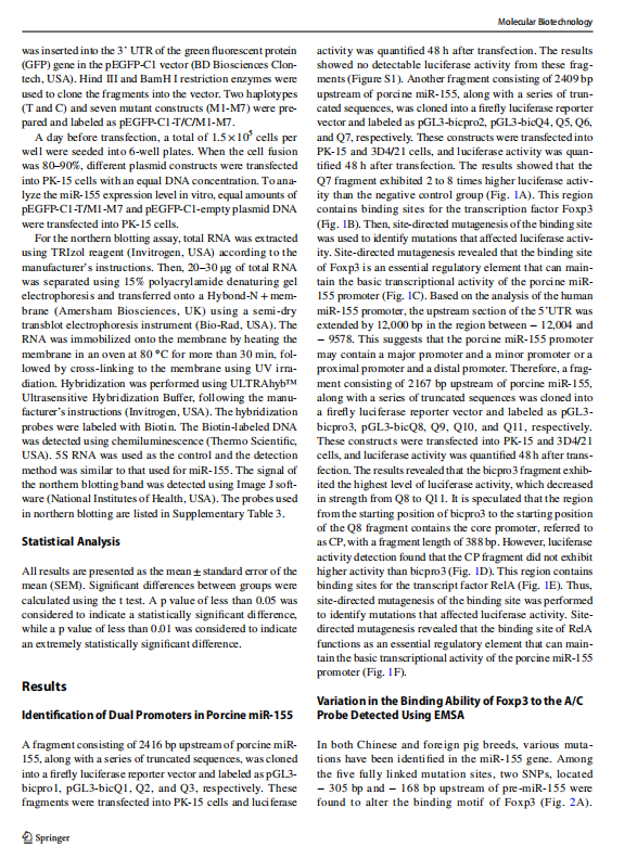 1719310743072.png image.png