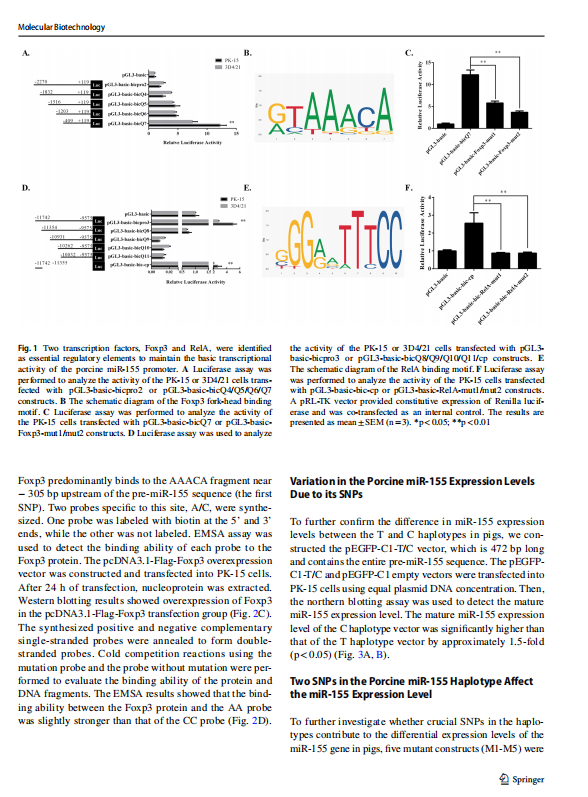 1719310753665.png image.png