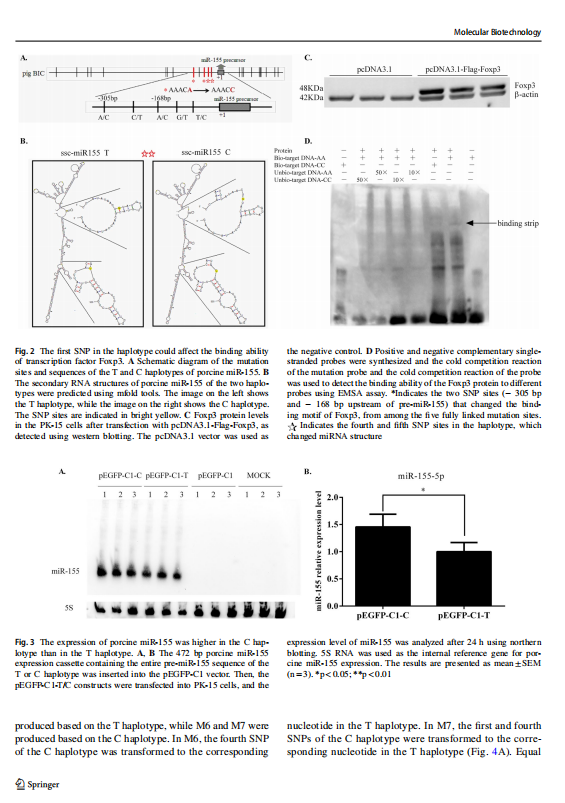 1719310763820.png image.png