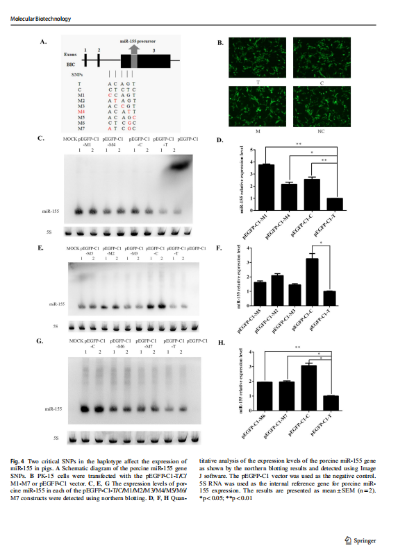 1719310774908.png image.png