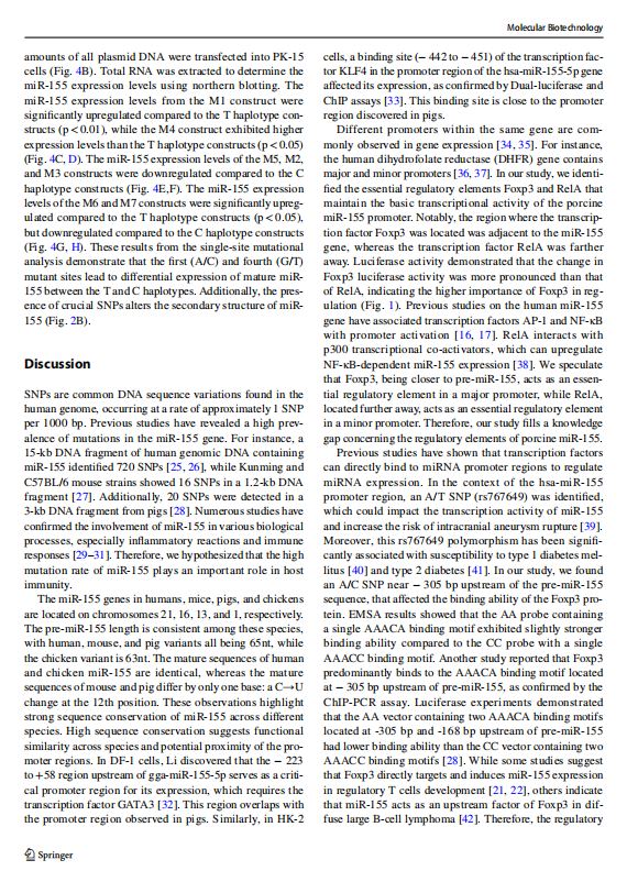 1719310788066.png image.png