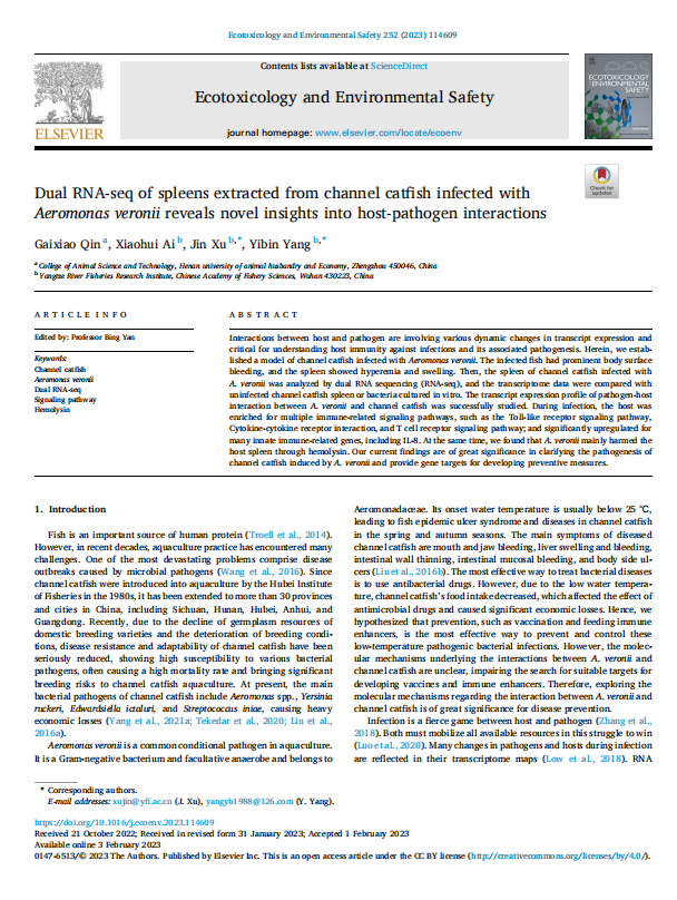 1719312050536.png image.png