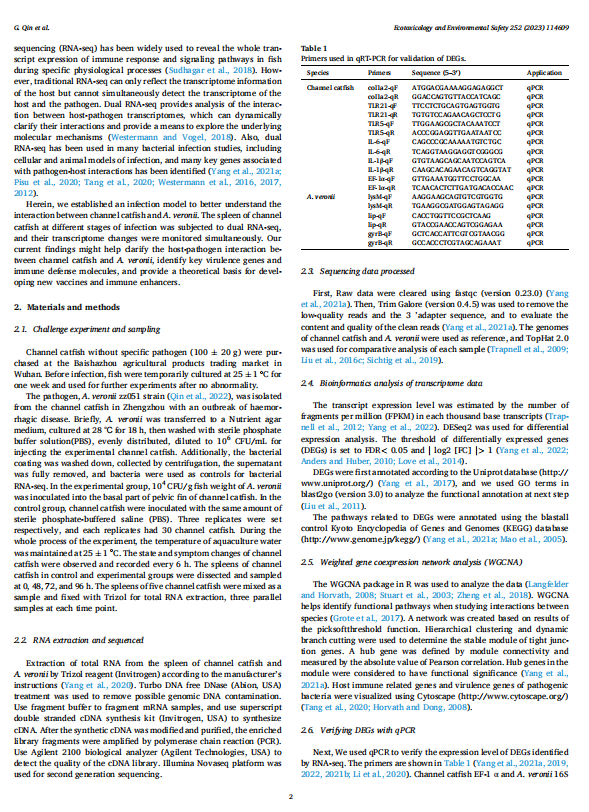 1719312060752.png image.png