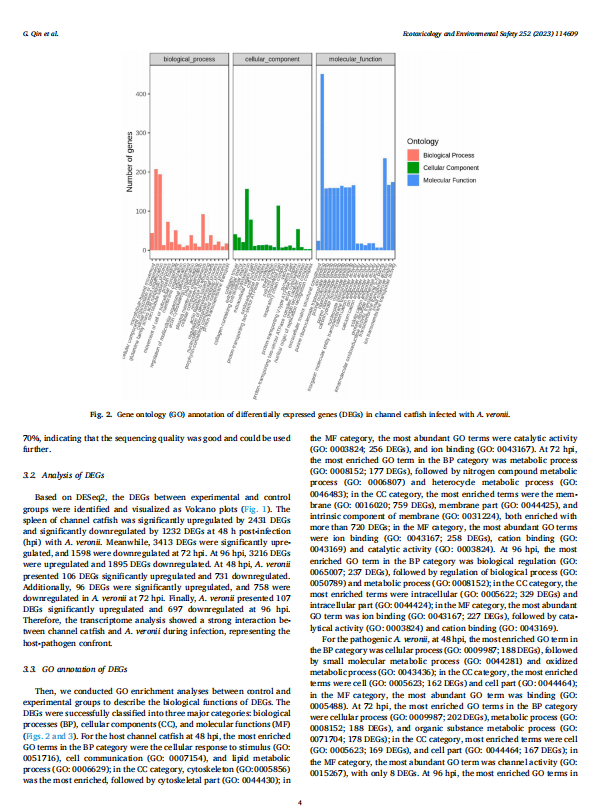 1719312082265.png image.png