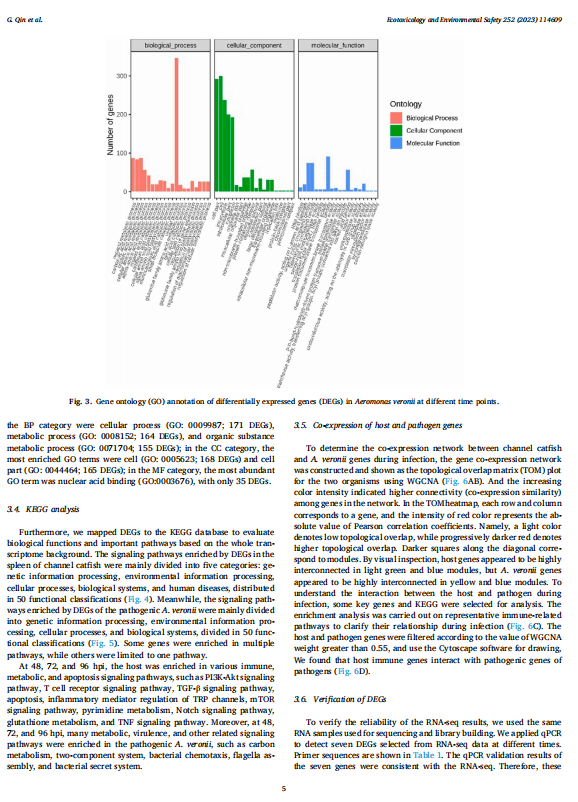 1719312090361.png image.png