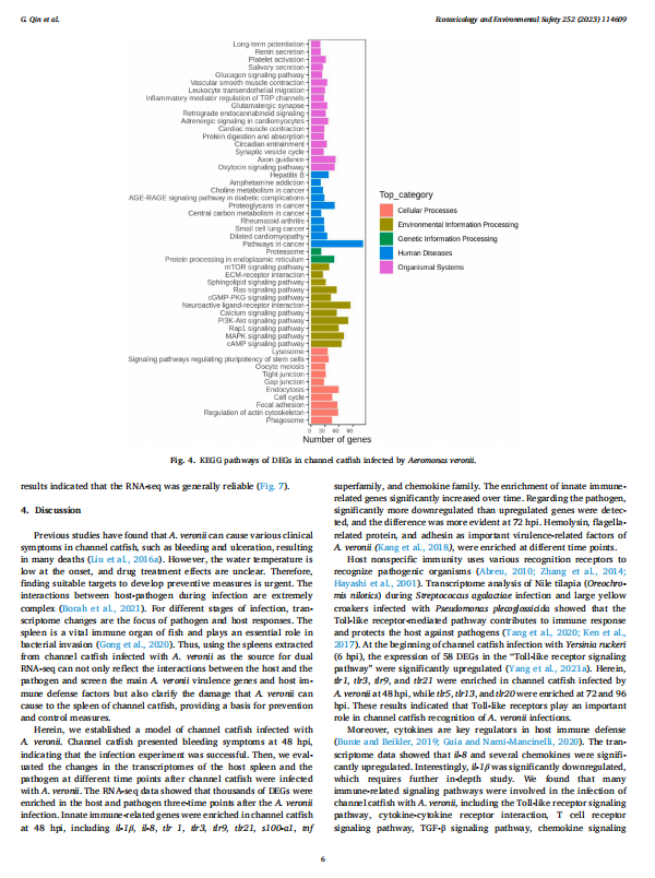 1719312104166.png image.png