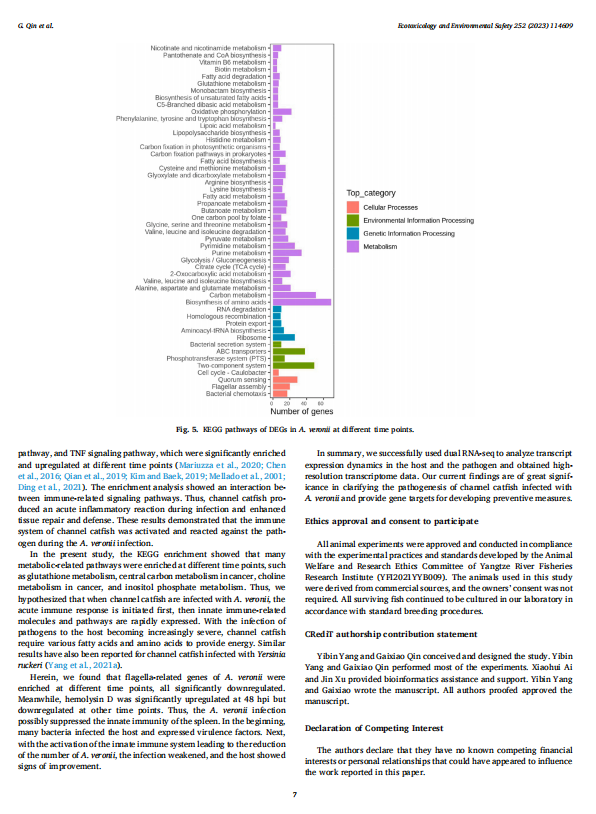 1719312115681.png image.png