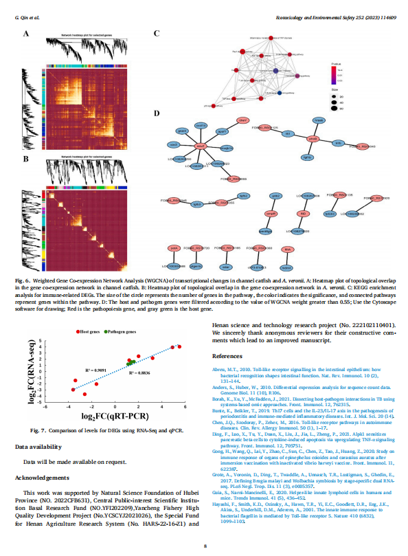 1719312124216.png image.png